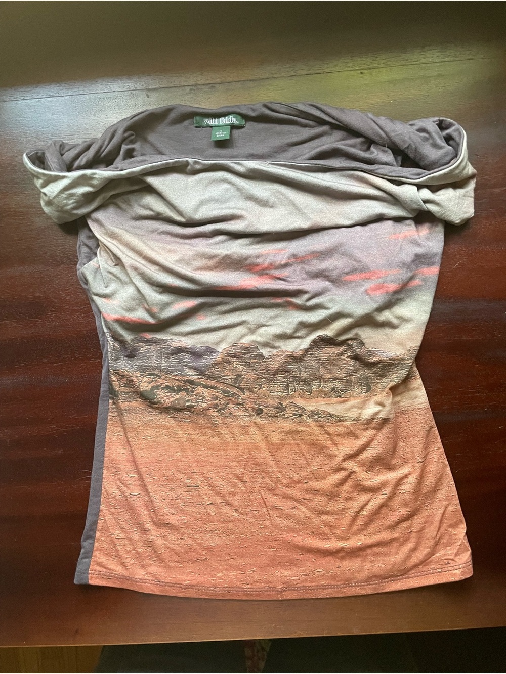 wild fable Brown and Peach Ombre Scenic off the shoulder Tee